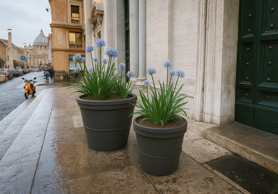 Jardinera Clsica