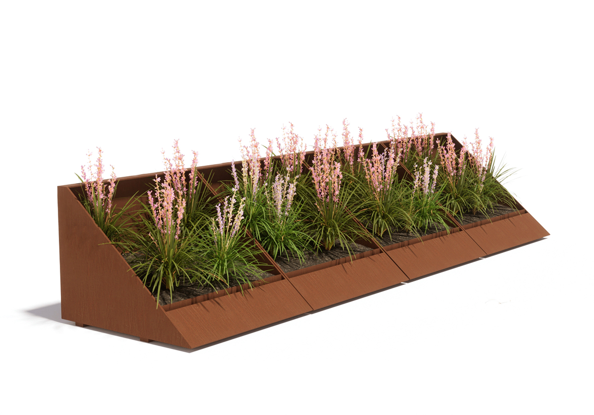 Jardinera Lolium